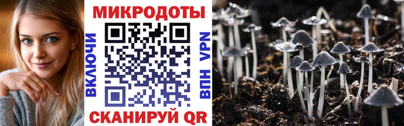 Галлюциногенные грибы Magic Shrooms цены наркотик Пикалёво